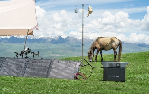 Panel fotowoltaiczny EcoFlow 110W